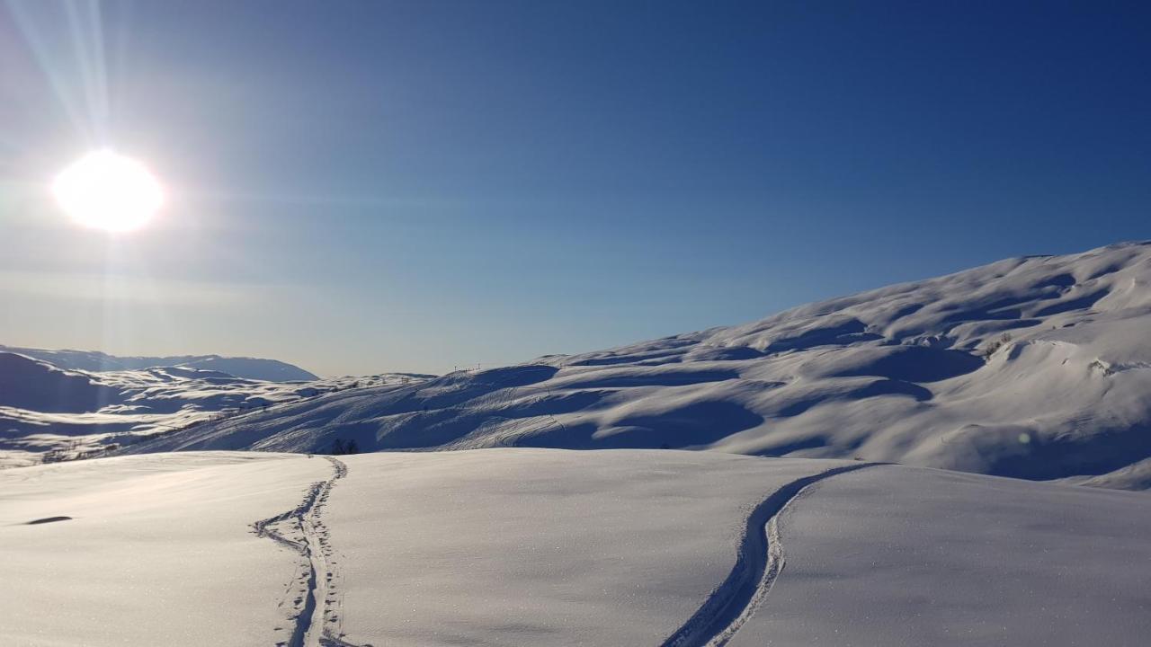 Villa Mlodge - The Mountain Sogndal