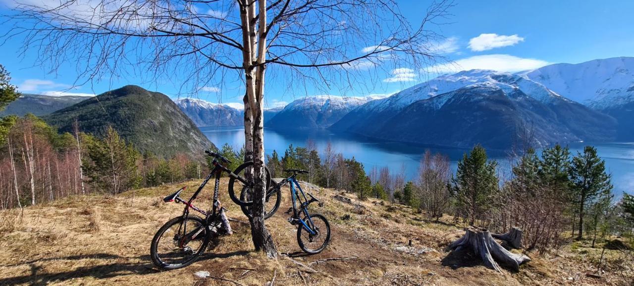 Mlodge - The Mountain Villa Sogndal